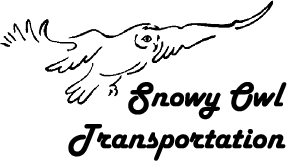 Trucking Snowy Owl Transportation